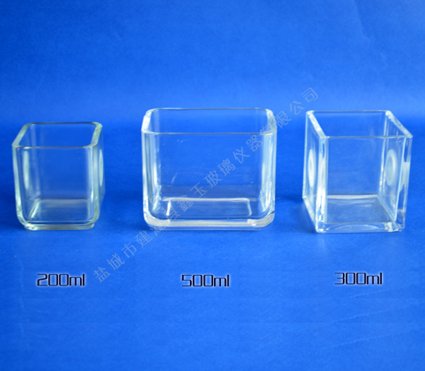 耐压仪玻璃油杯（正面）